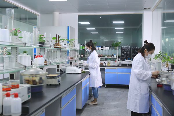 环保阻燃新选择：高纯氢氧化镁的“安全密码”