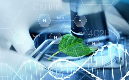 在生物医学应用中，纳米氧化镁的研究进展