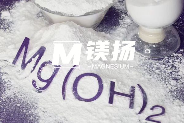 3_副本_副本.jpg